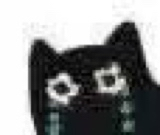 :11133: :11133: