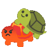 :turtle_baochao: