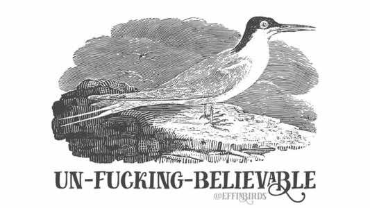 A woodcut of a roseate tern above the text "un-fucking-believable"