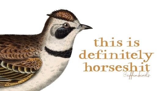 A painting of a bird beside the text "this is definitely horseshit"