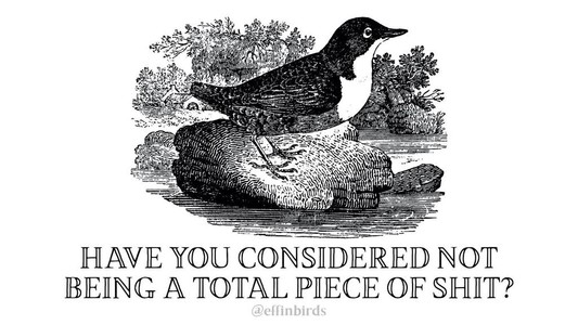 A woodcut of a water ouzel above the text HAVE YOU CONSIDERED NOT BEING A TOTAL PIECE OF SHIT?