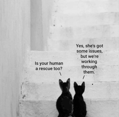 Yes, she's got some issues, but we're Is your human working arescue too? through \ them. “ | .