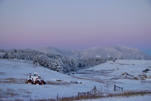 a snowy farm in front of forested mountains, under a pink morning sky