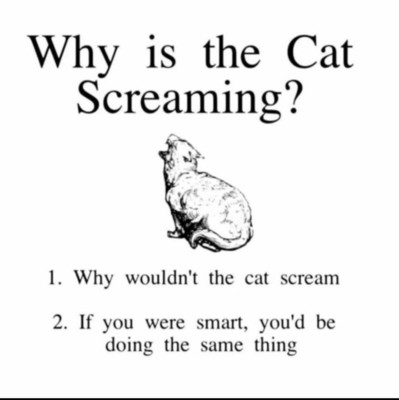 Why is the cat screaming? 
[drawing of a cat facing away from the viewer while screaming into the void]
1. Why wouldn't the cat scream?
2. If you were smart, you'd be doing the same thing.